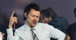 Harry Styles' first gig in three years to stream on Netflix