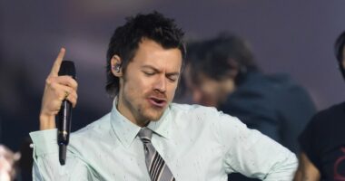 Harry Styles' first gig in three years to stream on Netflix