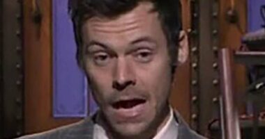 Harry Styles pokes fun at Andrew Mountbatten-Windsor in SNL stint