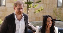 Harry and Meghan's movie projects are 'in limbo', a report claims