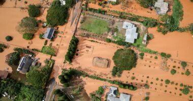 Hawaii's worst flooding in 20 years caused over $1BILLION in damage as crews desperately search for woman swept away in deluge