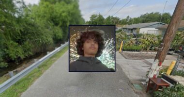 'He didn't see them coming': Teen on scooter mowed down by bully who made his life at school so miserable he had to leave, police and grandmother say