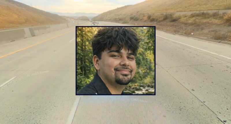 'He reached out his hand for her': 22-year-old's girlfriend watches him get mowed down while changing a tire and killed by semitruck driver who then sped away