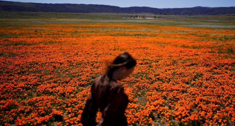 Health alert: Welcome to allergy season. Here's how to protect yourself