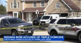 Hearing postponed for Jenna Strouble, woman charged in Crete Township triple homicide; new details revealed in court