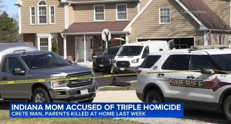 Hearing postponed for Jenna Strouble, woman charged in Crete Township triple homicide; new details revealed in court