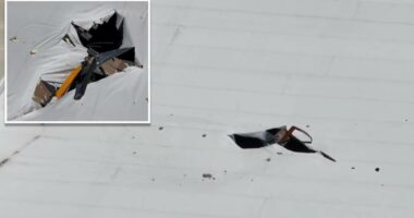 Helicopter crashes through roof of Florida warehouse, killing 2