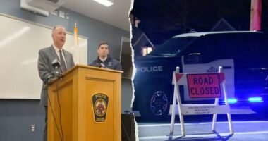 High school senior charged with 'random' murder after 68-year-old woman found dead in Massachusetts home