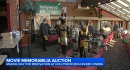 Hollywood Boulevard Cinema in Woodridge, Illinois auctions movie memorabilia to make way for renovation