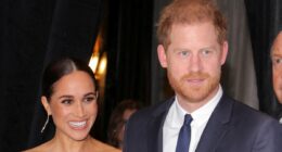 Home Office fears 'taxpayer reaction' to new security for Prince Harry