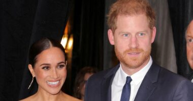 Home Office fears 'taxpayer reaction' to new security for Prince Harry