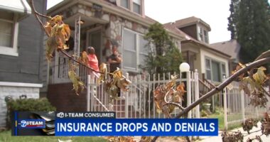 Home insurance drops and denial rates increasing more in Chicago area than national average, experts say