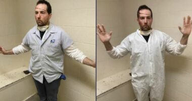 Homeowner attacked by fake postal worker wearing full Tyvek suit underneath uniform, handed victim a piece of mail before jumping him and his wife, who was strangled: Cops