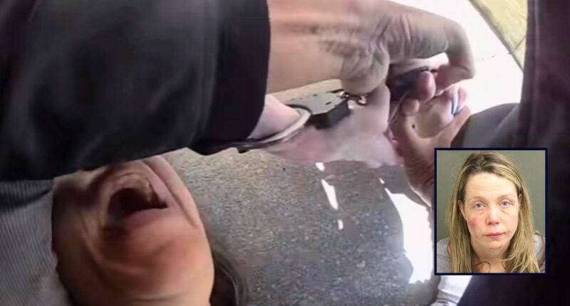 'Honk at me again': Road rage suspect allegedly punches pregnant woman, assaults 68-year-old who tried to help and then bites cop