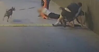Horrifying moment stalker attacks woman after months of tormenting her