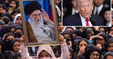 House passes bill to fund DHS but most Democrats remain opposed to ending shutdownÂ 