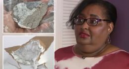 Houston woman Sherrie James claims suspected meteorite smashed into house after blast rattles residents