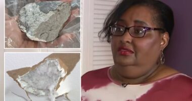 Houston woman Sherrie James claims suspected meteorite smashed into house after blast rattles residents