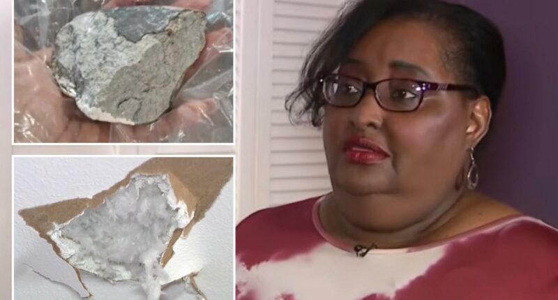 Houston woman Sherrie James claims suspected meteorite smashed into house after blast rattles residents