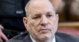 How Harvey Weinstein feels about Adrien Brody playing dad to his kids