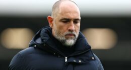 How Igor Tudor has risked upsetting Spurs fans AGAIN and the stats that should worry club chiefs as interim boss issues rallying cry to relegation-threatened strugglers