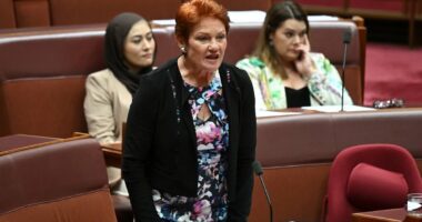 How Penny Wong just got Pauline Hanson in BIG trouble