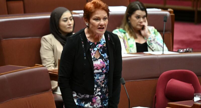 How Penny Wong just got Pauline Hanson in BIG trouble