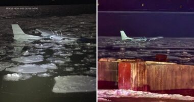Hudson River plane crash: Cessna 172 flight instructor, student swim to shore after icy water landing in Newburgh, Orange County