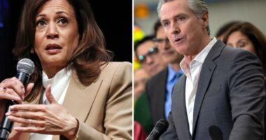Huge wake up call for Gavin Newsom and Kamala Harris as dire poll released