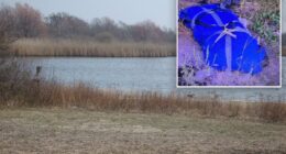 Human head found in Queens belongs to torso found 6 months ago: police sources