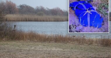 Human head found in Queens belongs to torso found 6 months ago: police sources