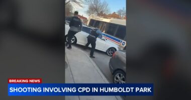 Humboldt Park, Chicago shooting today: Cop fatally shoots wanted vehicle's driver after he hits woman, CTA bus on Homan Avenue