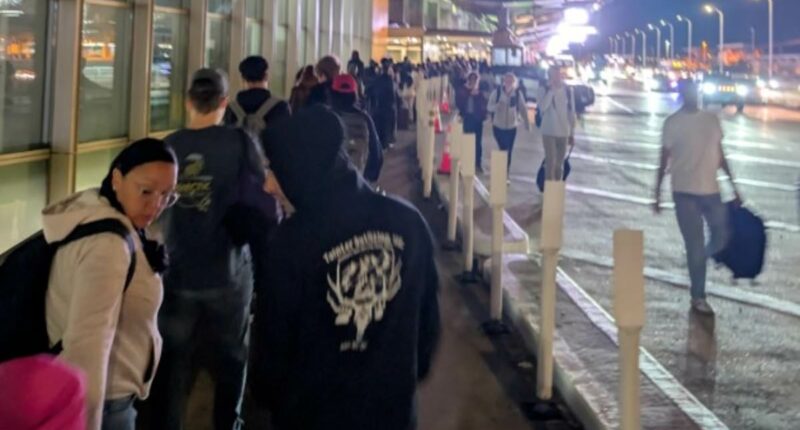 Hundreds of TSA agents QUIT amid government shutdown and long lines