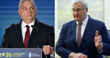 Hungary detains 7 Ukrainians and seizes $80 million cash shipment on suspicion of money laundering