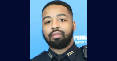 'I can't transmit it': Police officer with HIV hid illness from woman he impregnated, then tried to claim she and the baby 'can't get it': Police