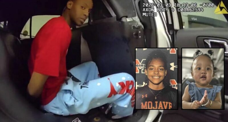 'I killed a child': Man upset family is 'treating him like an outcast' fires 9 shots into a random car, killing a woman and a 1-year-old, police say