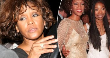 I spoke to Whitney Houston on a phone call just before she died