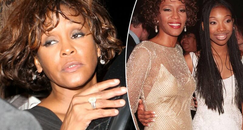 I spoke to Whitney Houston on a phone call just before she died