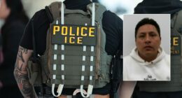 ICE arrests Latin Kings member after NYC sanctuary release despite assault charge on first responder