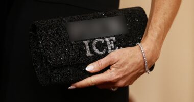 ICE protests to Iran, the stars who brought politics to the red carpet