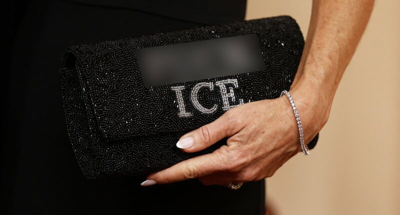 ICE protests to Iran, the stars who brought politics to the red carpet