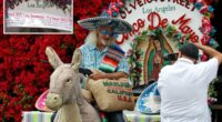Iconic Los Angeles donkey attraction in peril