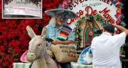 Iconic Los Angeles donkey attraction in peril