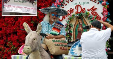 Iconic Los Angeles donkey attraction in peril