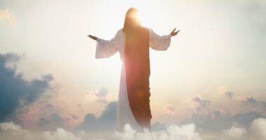 If you're looking for evidence of heaven and hell, this could be it