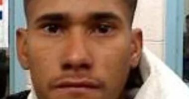 Illegal alien who 'killed college student' was caught and released