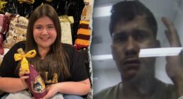 Illegal immigrant accused of killing Chicago college student to face court after tuberculosis delay