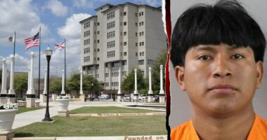 Illegal immigrant allegedly stalks, hunts teenager through local park in armed attack: police