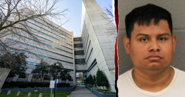 Illegal immigrant confesses to 2 cold-blooded murders months apart: report