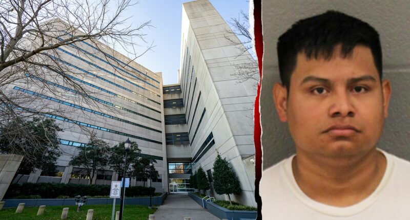 Illegal immigrant confesses to 2 cold-blooded murders months apart: report